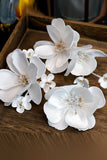 Vit Elegant Tyg Blomma Hår Klämmor