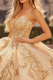 Champagne Axelbandslös Appliqued Tyll Quinceanera Klänning