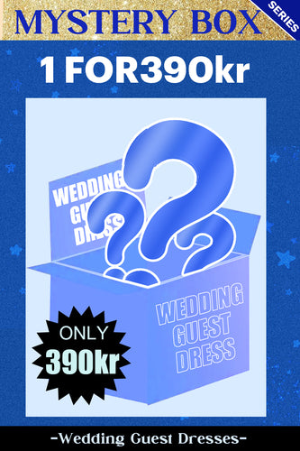 ZAPAKA MYSTERY BOX of 1Pc Wedding Guest Dress