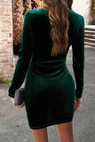 Svart Bodycon Rund Hals Långärmad Sammet Party Klänning