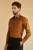 Långa ärmar Ljus Khaki Solid Kostym Skjorta