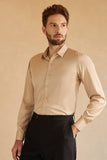 Långa ärmar Ljus Khaki Solid Kostym Skjorta