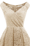 Blush Vintage Spets Festklänning