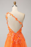 Orange One Shoulder A-linje Tyll Lång Balklänning med Applikationer