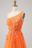 Orange One Shoulder A-linje Tyll Lång Balklänning med Applikationer